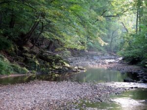 day trips from raleigh