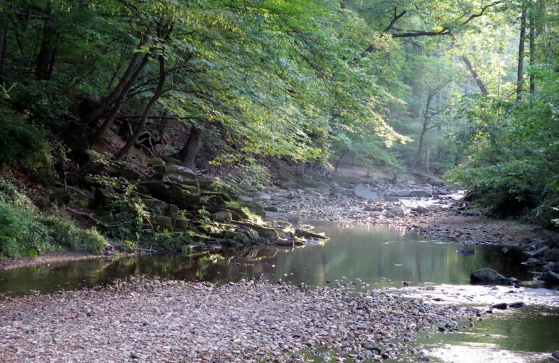 day trips from raleigh